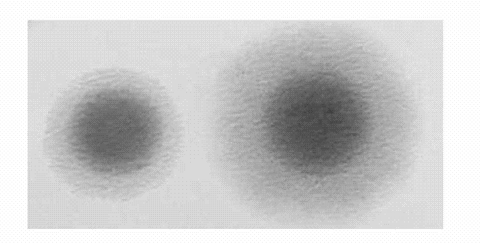 Vaccine composition for preventing and treating porcine circovirus type 2, haemophilus parasuis and mycoplasma hyopneumoniae infection and preparation method thereof