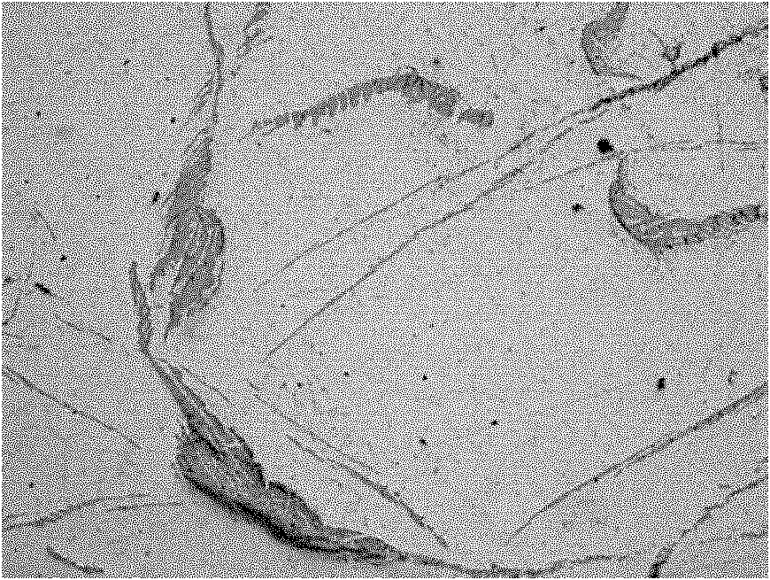 Aluminum-zirconium intermediate alloy and preparation method