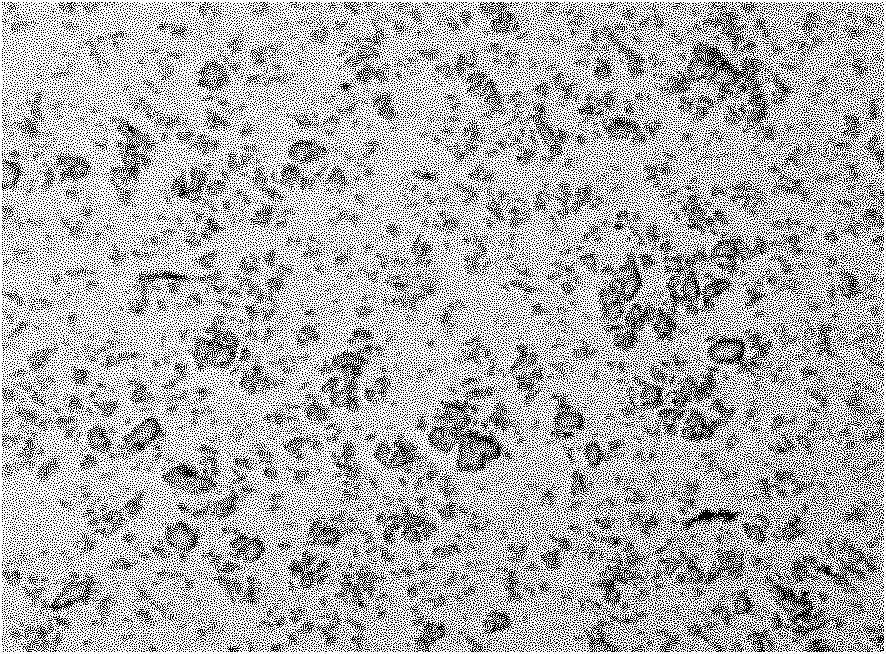 Aluminum-zirconium intermediate alloy and preparation method