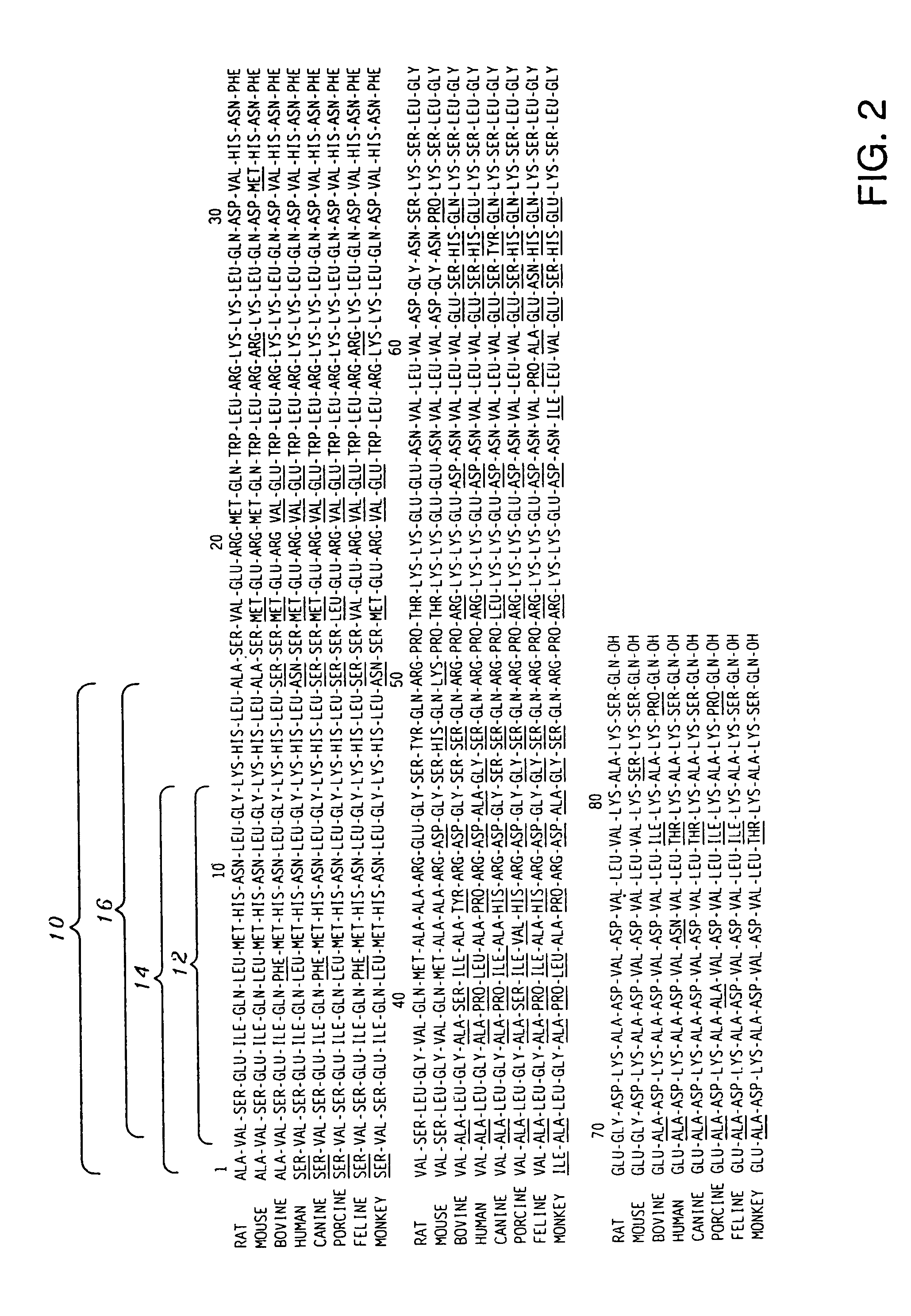 Antibodies and peptide antigens for producing antibodies having a selective binding specificity to bioactive intact parathyroid hormone (PTH) 1-84