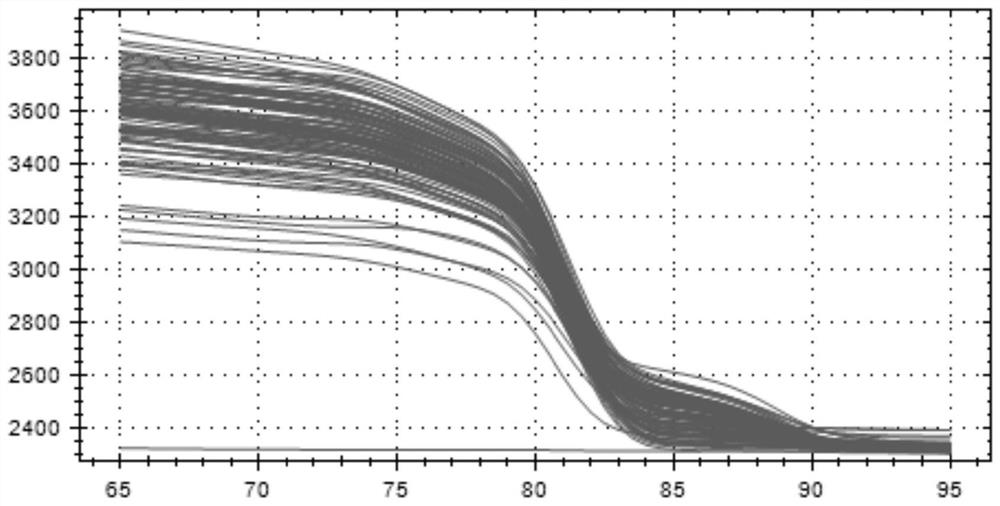 Molecular diagnosis method for evaluating growth traits based on copy number variation (CNV) marker of cattle ZNF146 gene and application of molecular diagnosis method