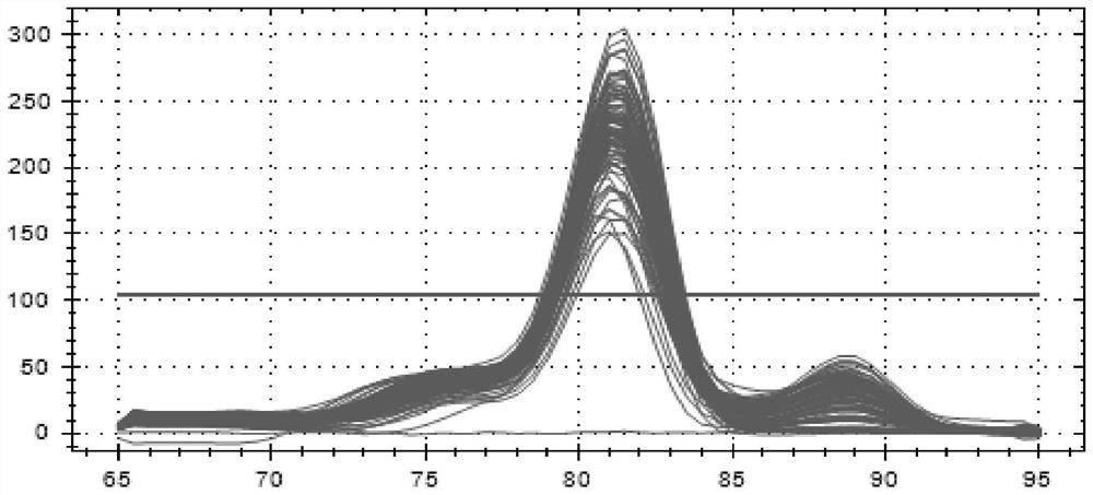 Molecular diagnosis method for evaluating growth traits based on copy number variation (CNV) marker of cattle ZNF146 gene and application of molecular diagnosis method