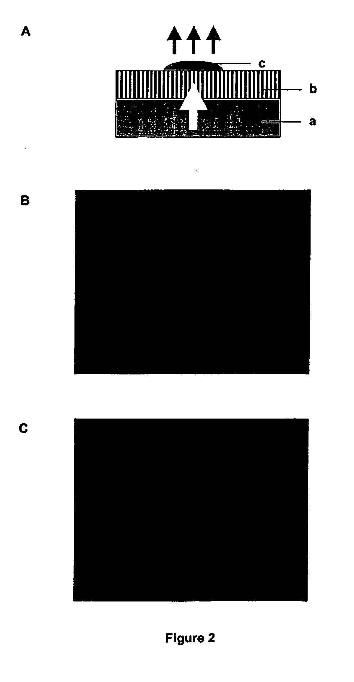 Method for high throughput cell-based assays using versatile living microarrays