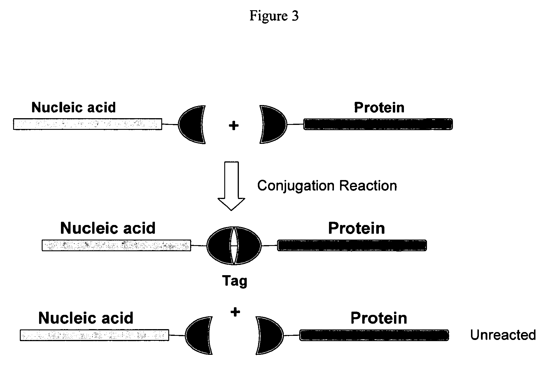 Compositions and methods for detecting protease activity