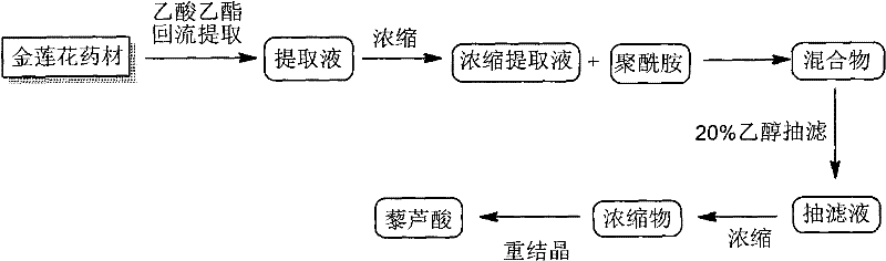 Method for preparing veratric acid from trollius chinensis bunge