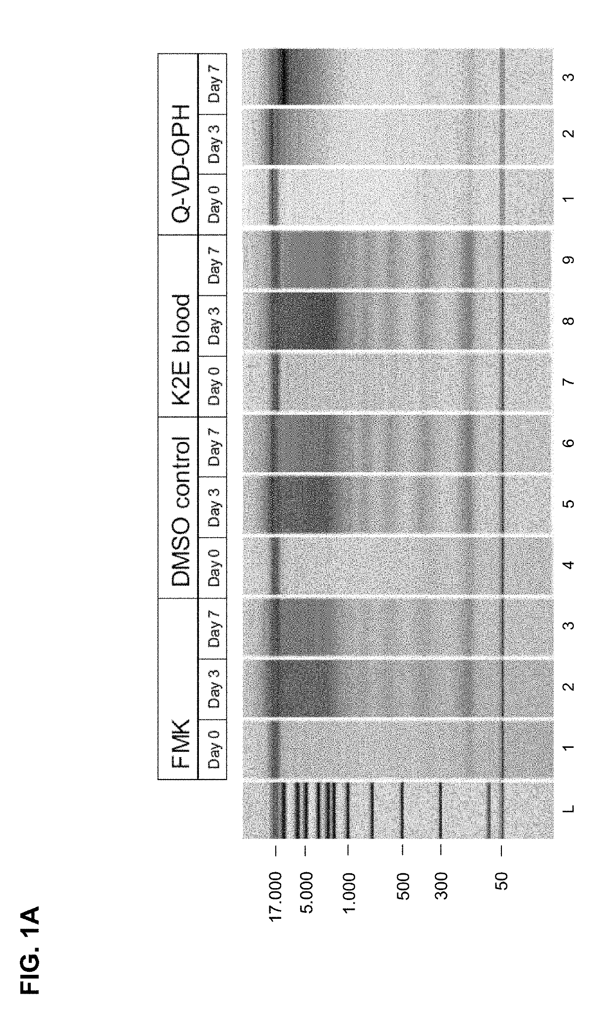 Stabilisation and isolation of extracellular nucleic acids