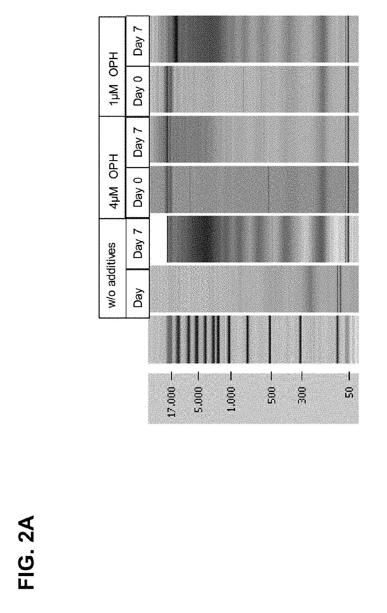 Stabilisation and isolation of extracellular nucleic acids