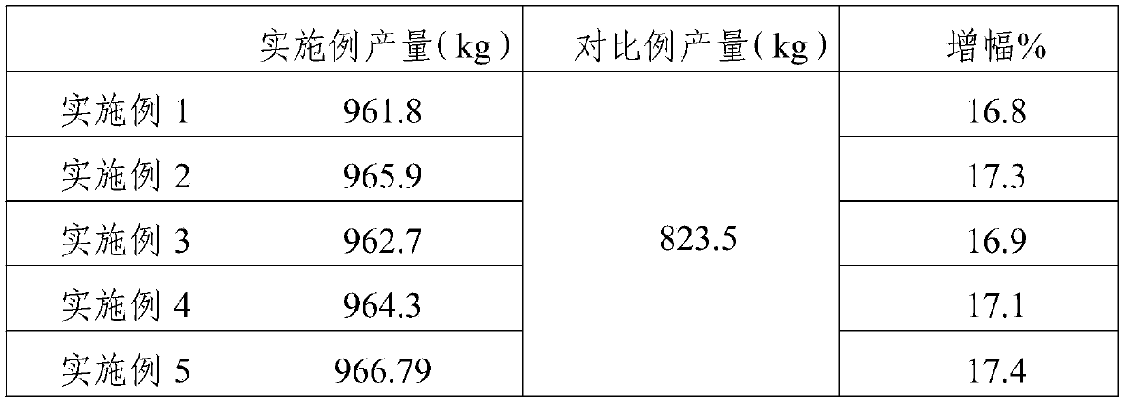 Pinellia ternata planting method for improving yield