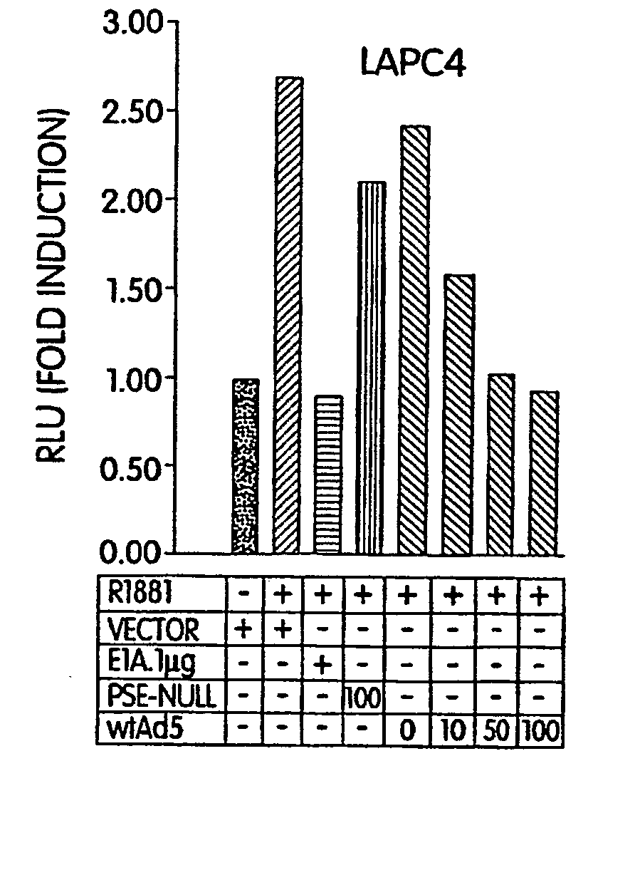 Enhancement of adenoviral oncolytic activity in prostate cells by modification of the e1a gene product