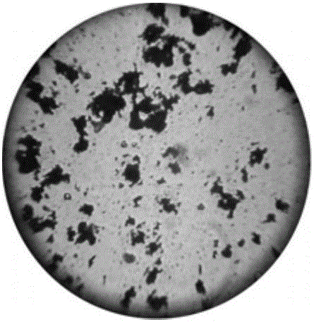 Color paste used for preparing whiteboard marker ink and preparation method thereof