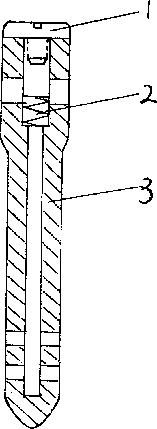 Elastic interlocking intramedullary nail