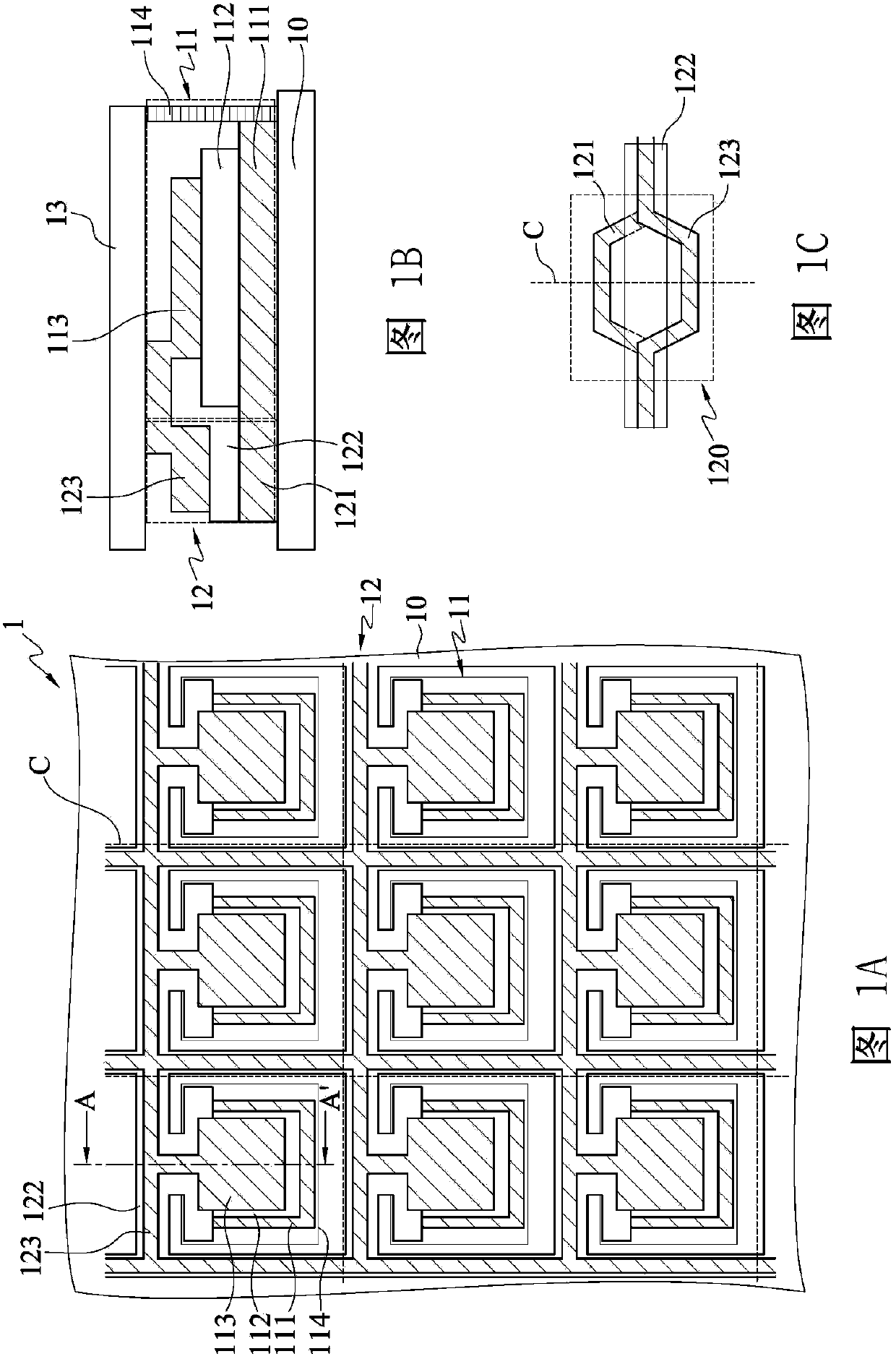 Organic light emitting diode light source device