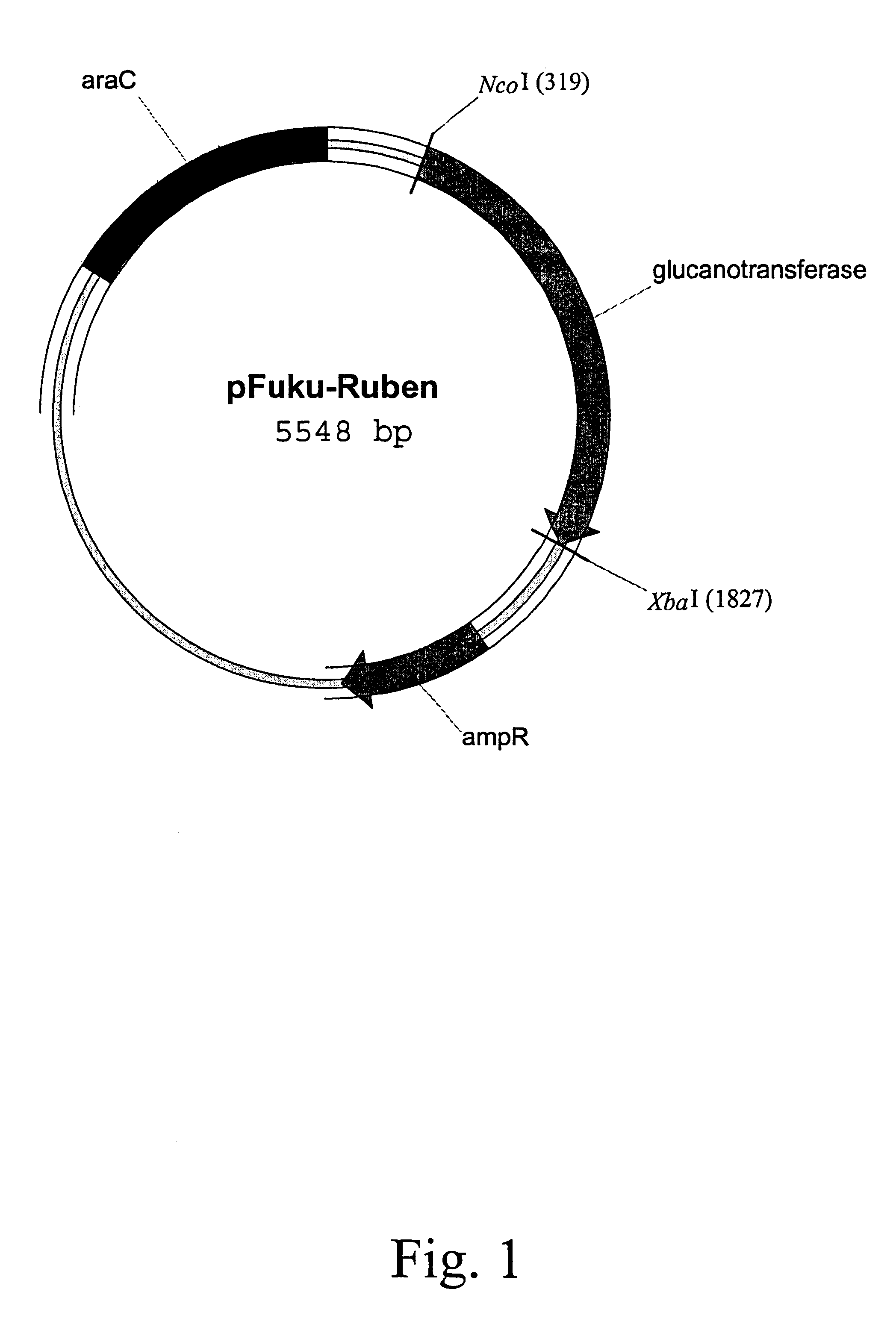 Polypeptides having glucanotransferase activity and nucleic acids encoding same