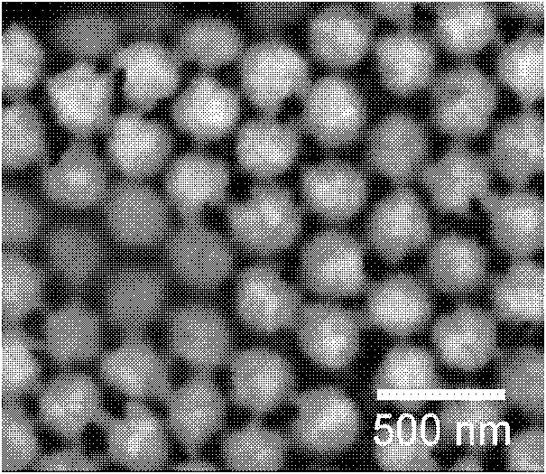 Preparation method of noble metal/submicron spherical shell arrays