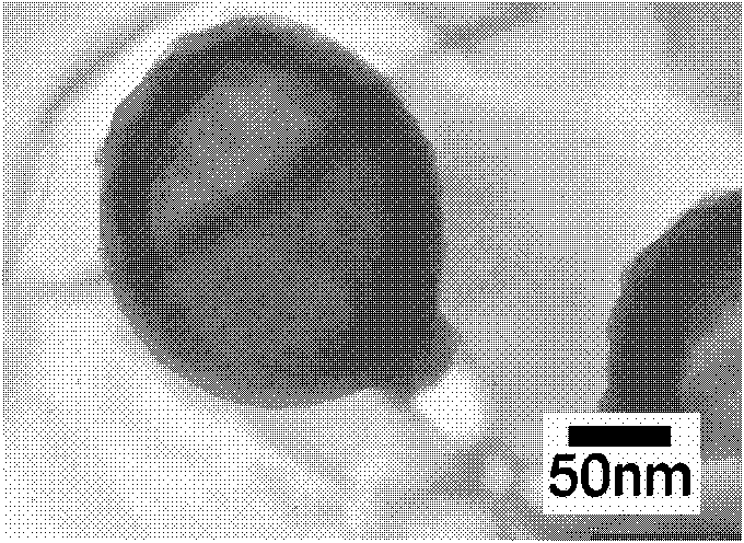 Preparation method of noble metal/submicron spherical shell arrays