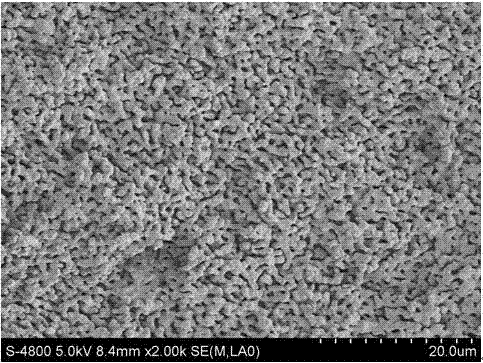 Composition with open cell ceramics for 3D printing preparation and using method thereof