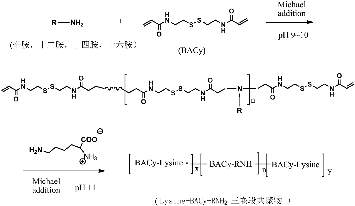 A preparation method of amino acid-based polyzwitterionic nanoparticles