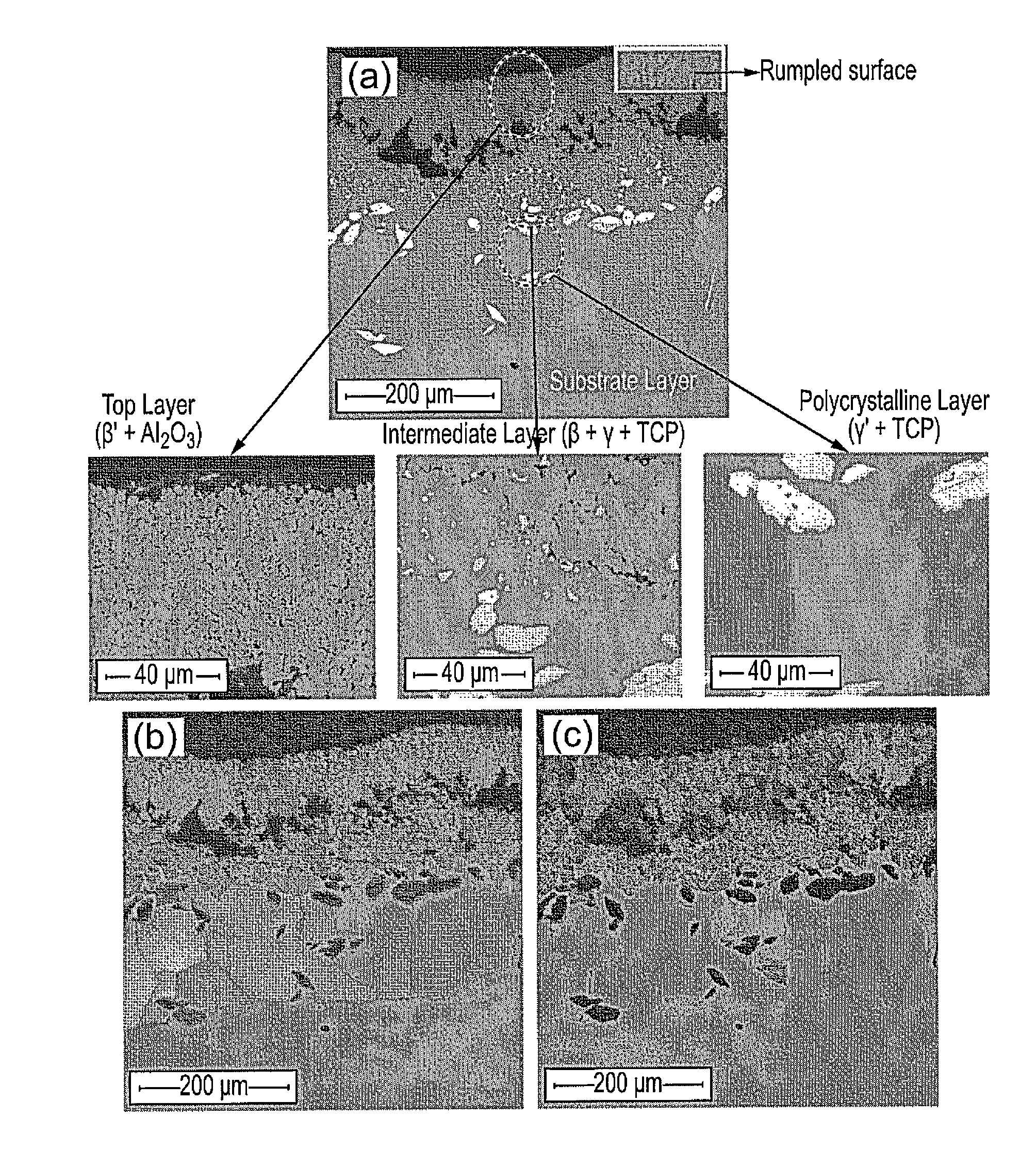 Ni superalloy component production method