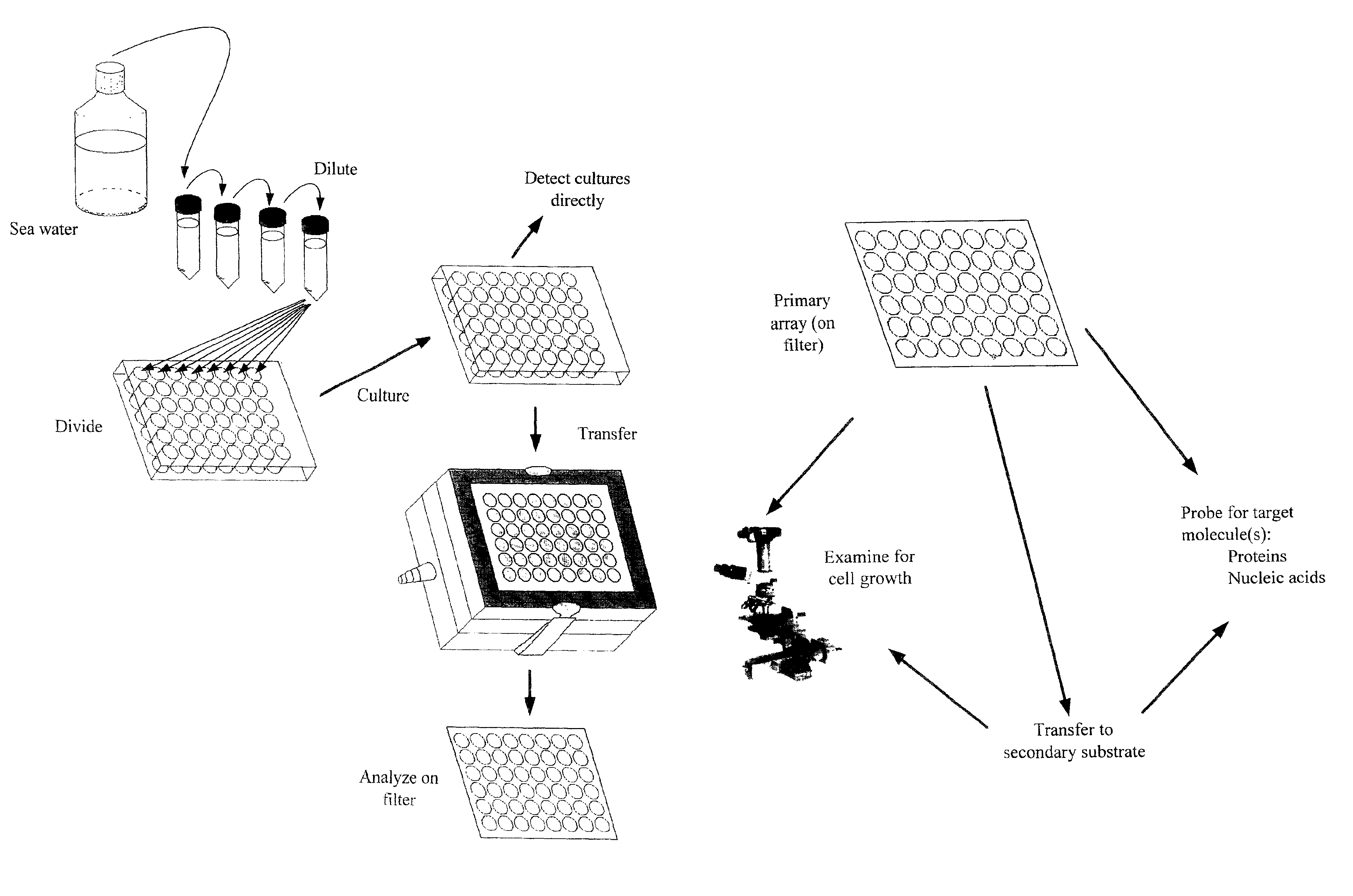 High-throughput microbial culturing