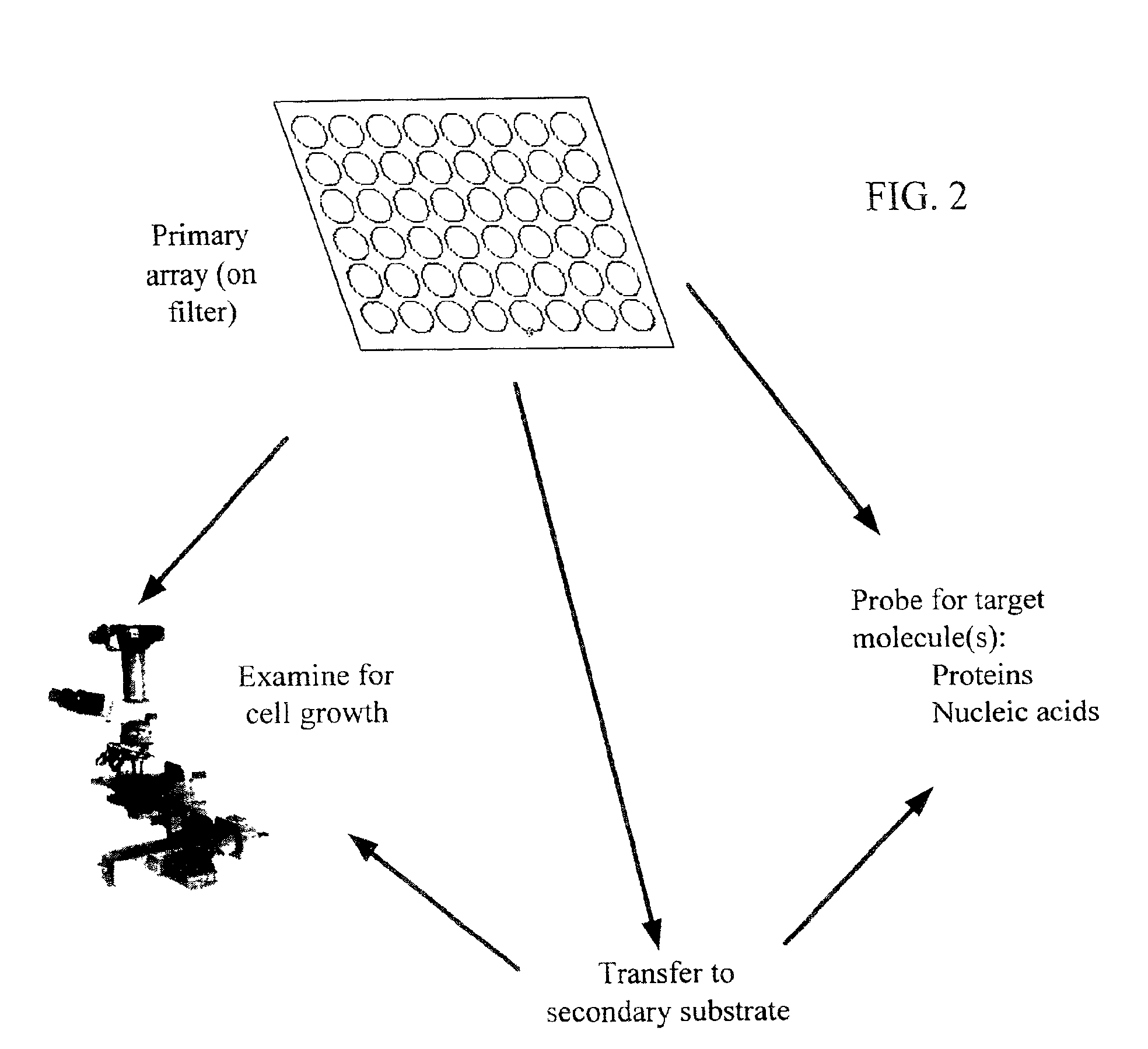 High-throughput microbial culturing