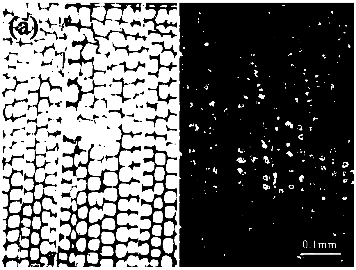 Treatment method of enhancing wood performance by quick dense carbonization