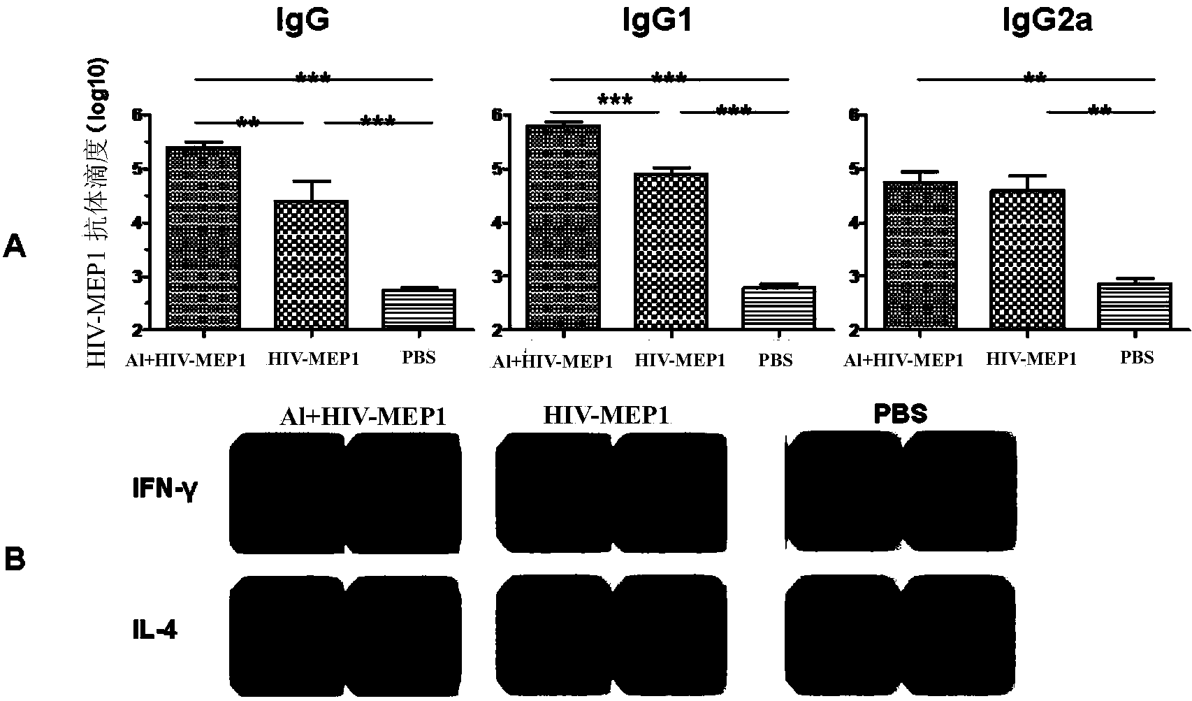 HIV-1 multi-epitope recombinant protein, and encoding gene and application thereof