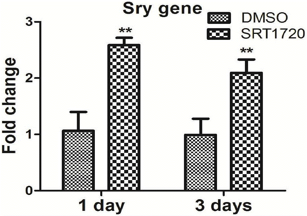 Method for improving survivability of old people mesenchymal stem cells after transplanting