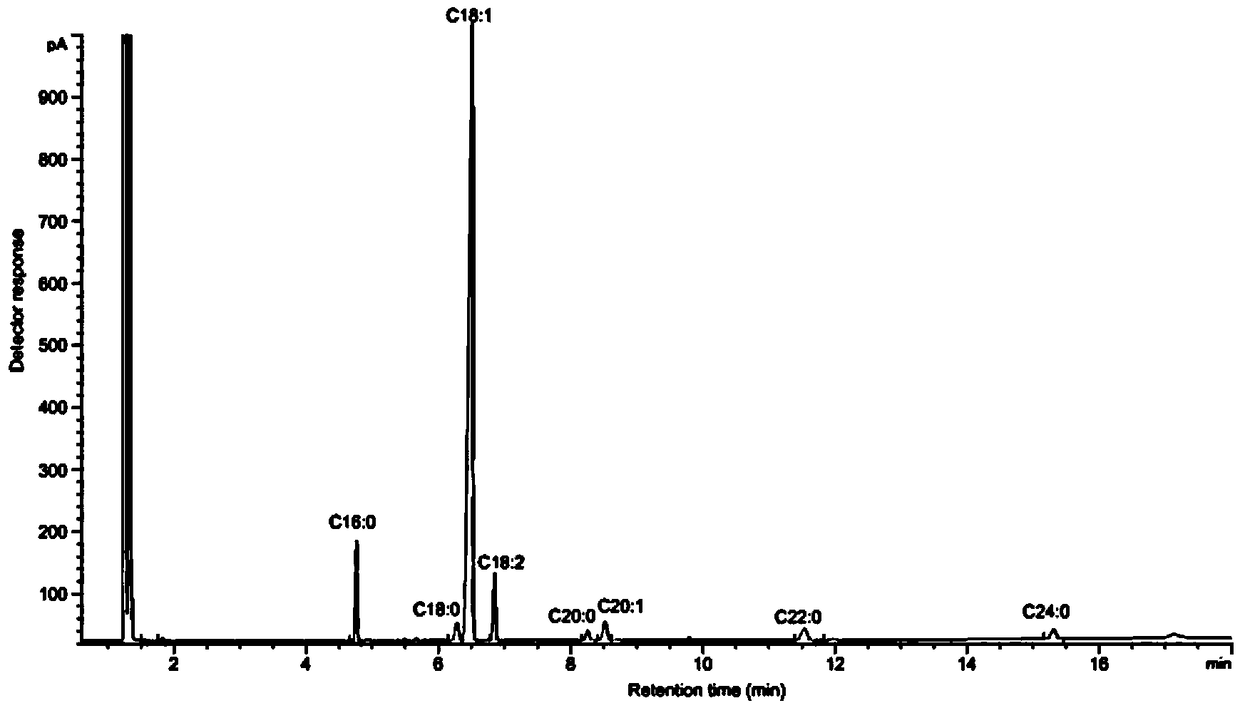 High-oleic acid peanut mutant gene AhFAD2B-814 and application thereof