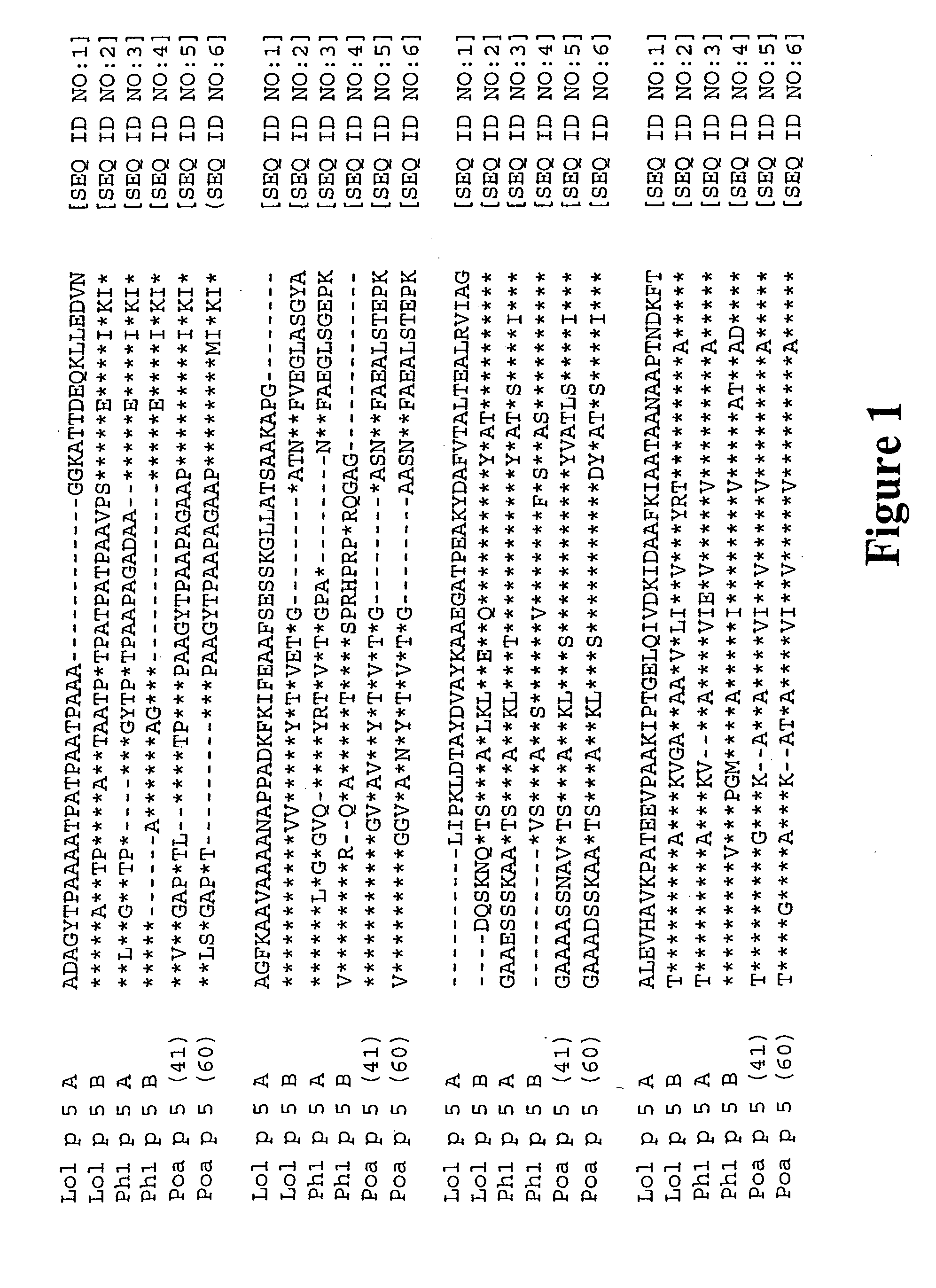 Recombinant allergen with reduced ige binding but undiminished t-cell antigenicity