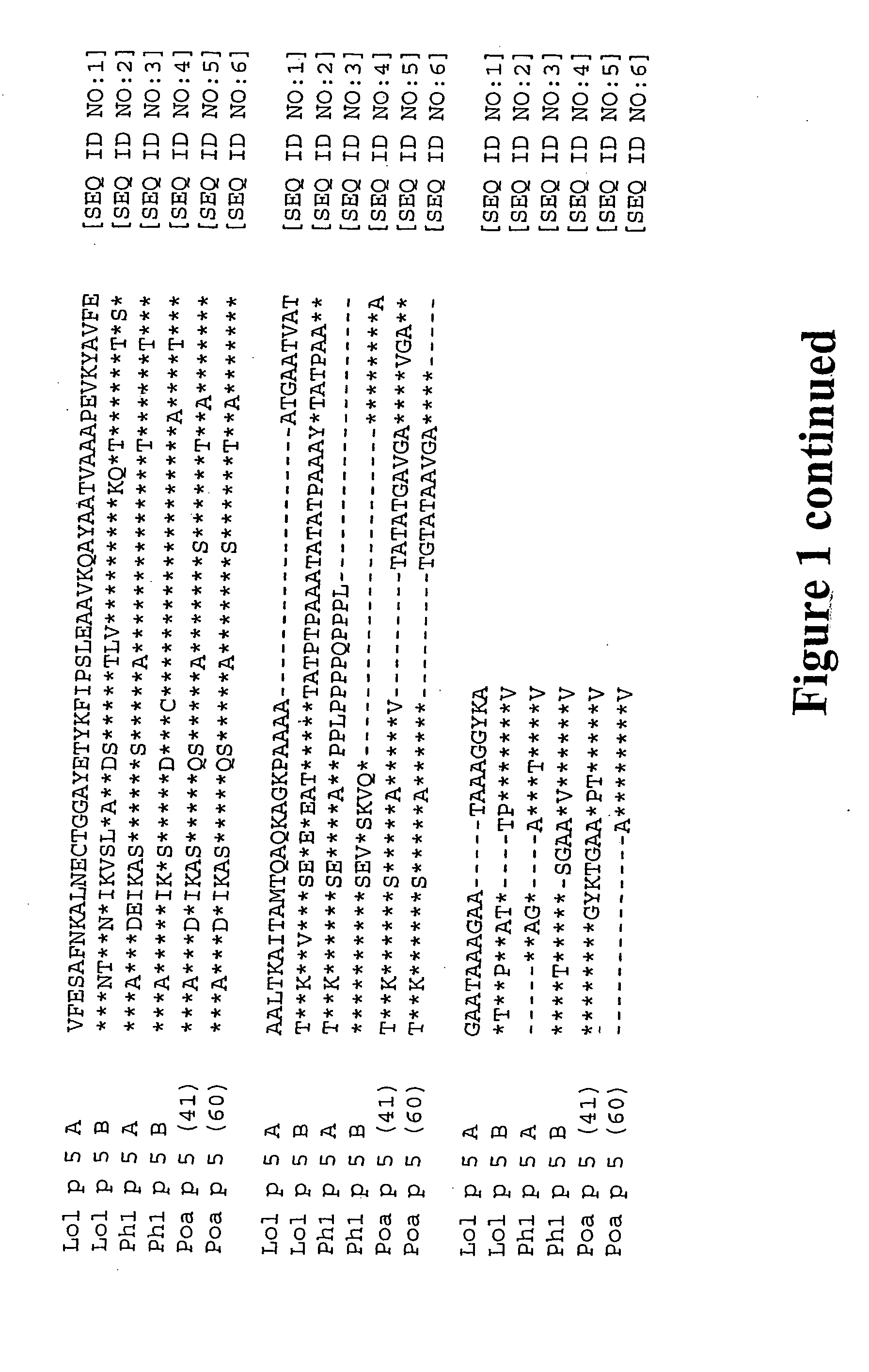 Recombinant allergen with reduced ige binding but undiminished t-cell antigenicity