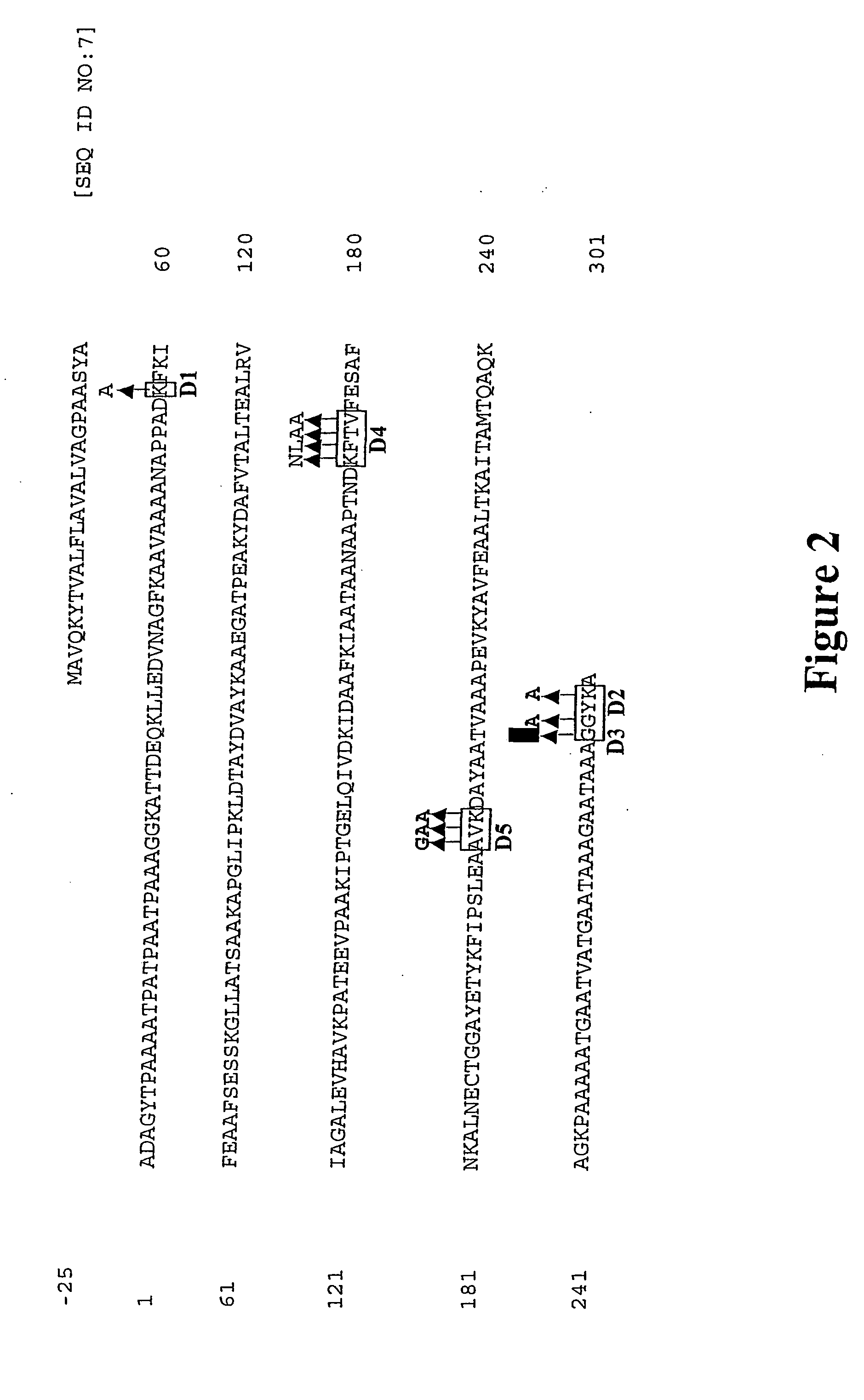 Recombinant allergen with reduced ige binding but undiminished t-cell antigenicity