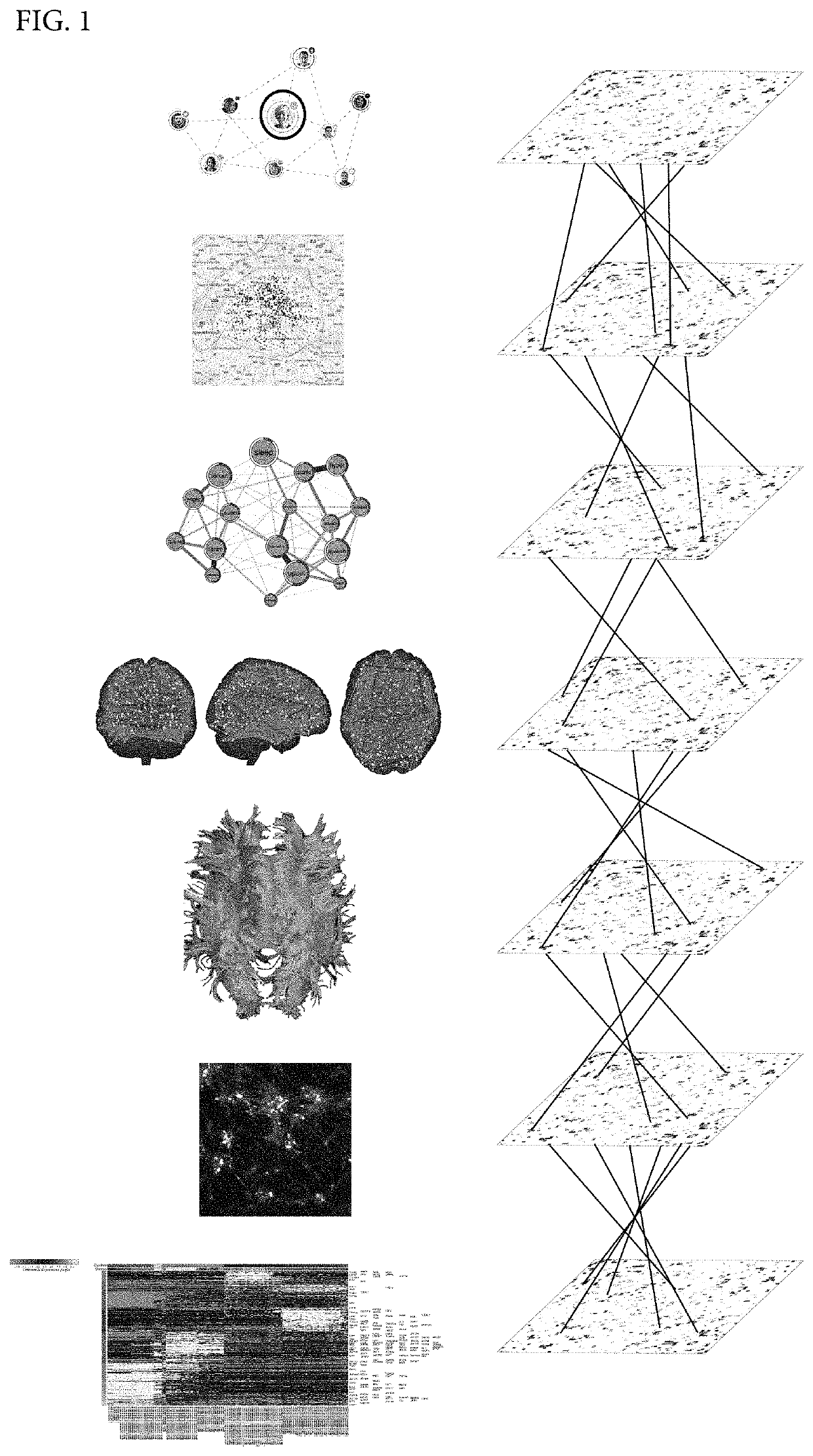 Automated feature engineering of hierarchical ensemble connectomes