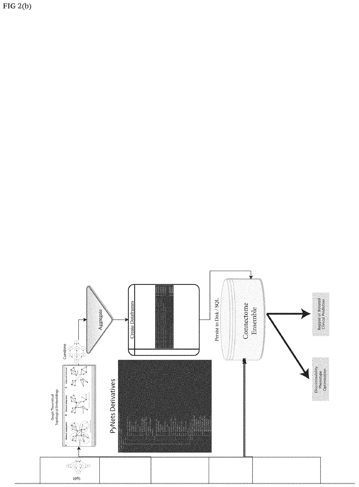 Automated feature engineering of hierarchical ensemble connectomes