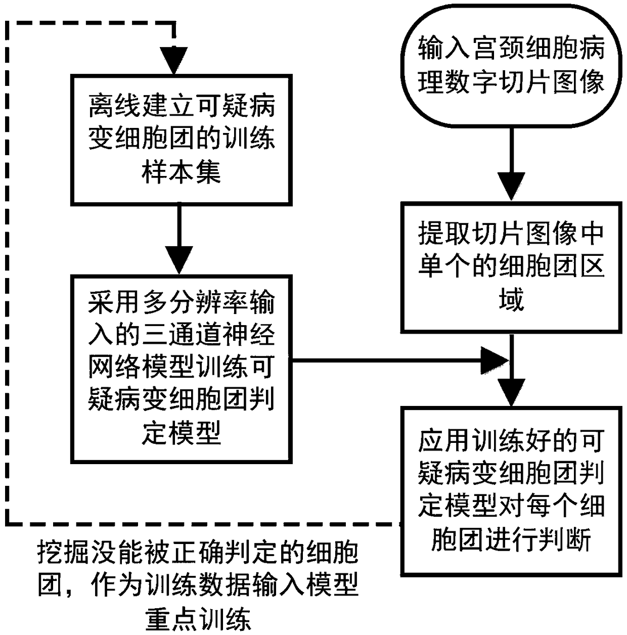 Method and system for image classification of irregular cervical cell mass