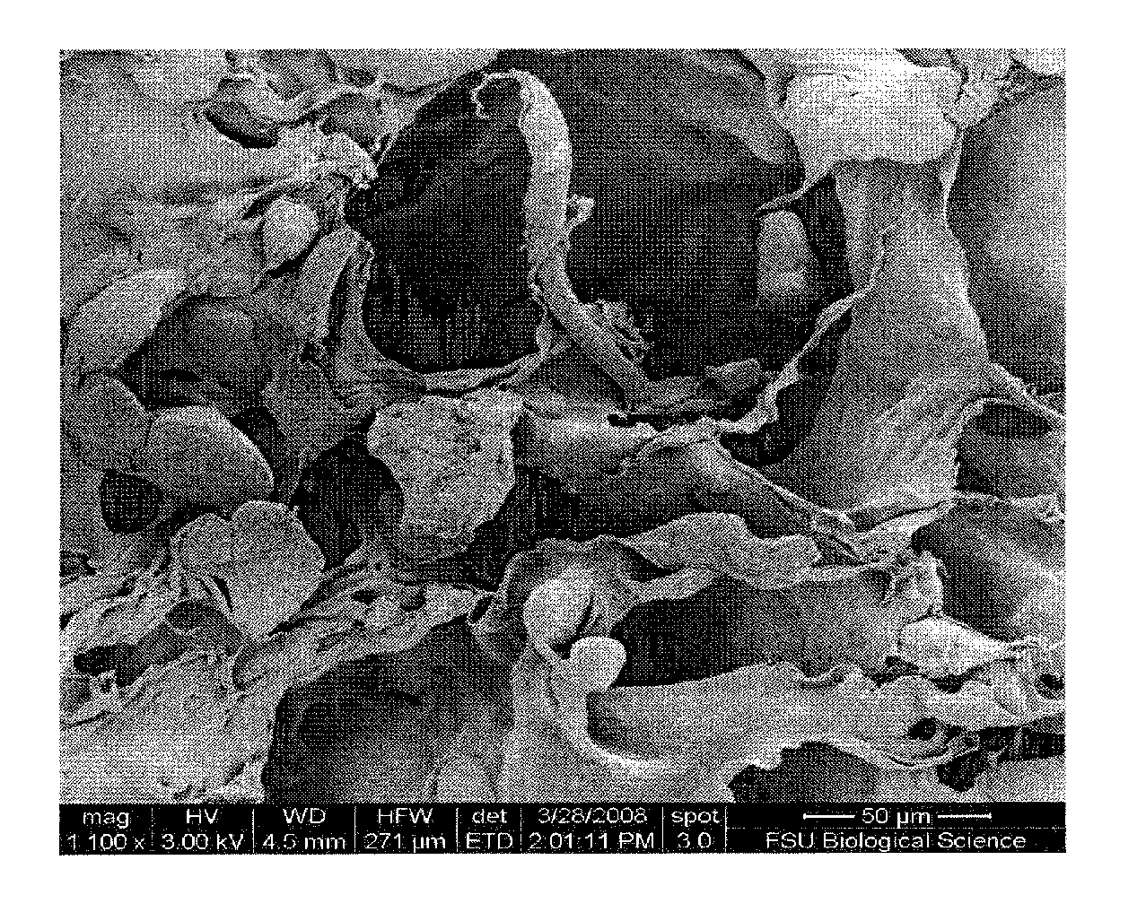 Dual-chamber perfusion bioreactor for orthopedic tissue interfaces and methods of use