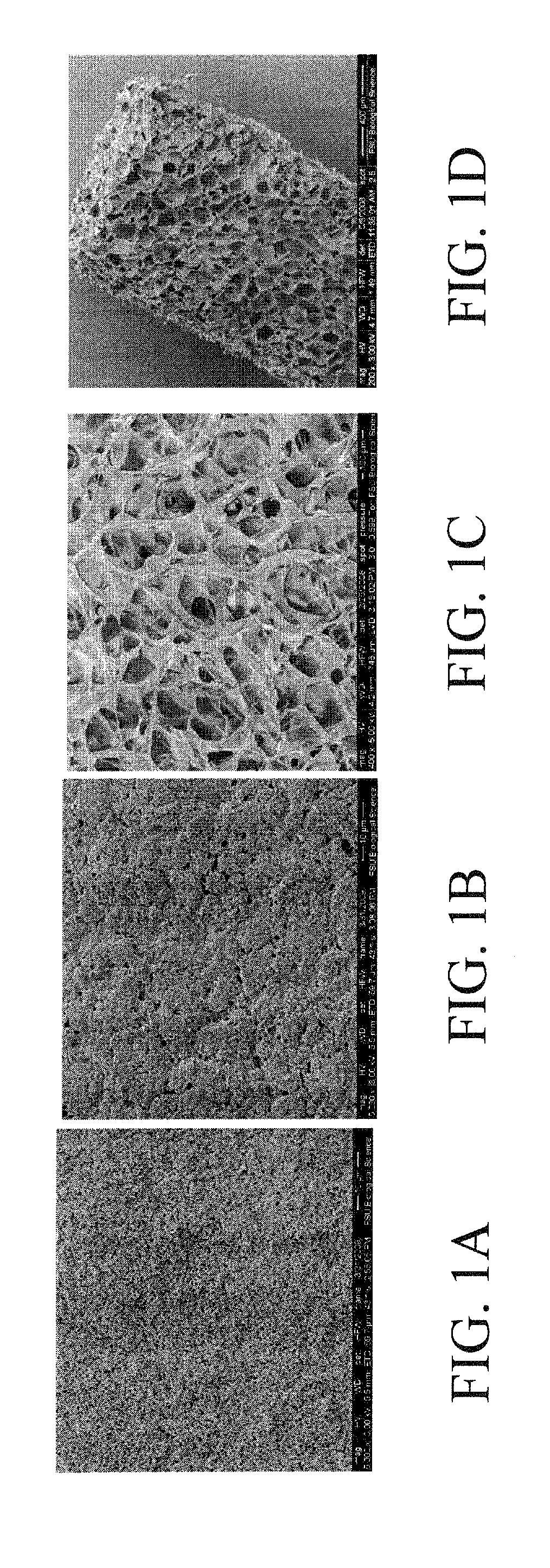 Dual-chamber perfusion bioreactor for orthopedic tissue interfaces and methods of use