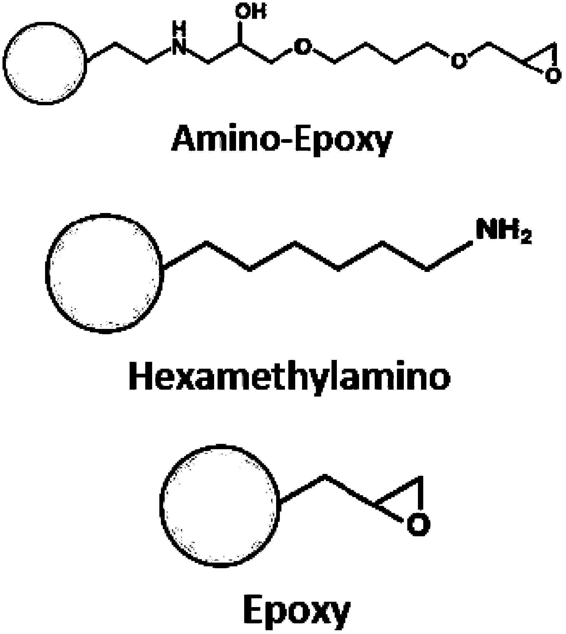 Immobilized glutathione synthetase, preparation thereof and applications thereof