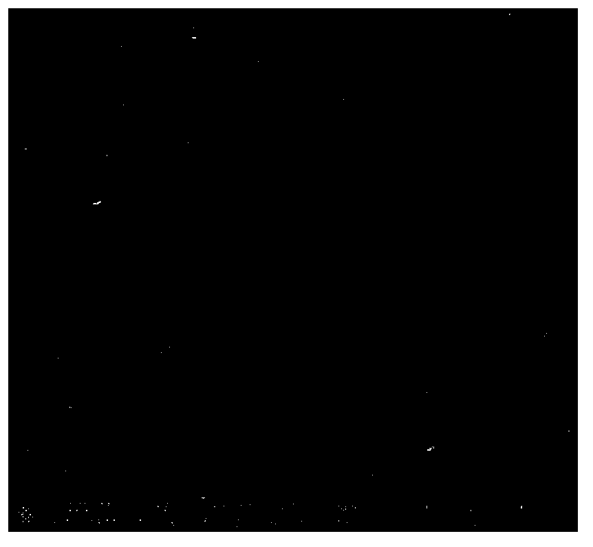 Preparation method of metal organic framework ZIF-8 (zero insert force-9) film