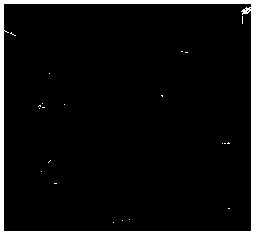 Preparation method of metal organic framework ZIF-8 (zero insert force-9) film