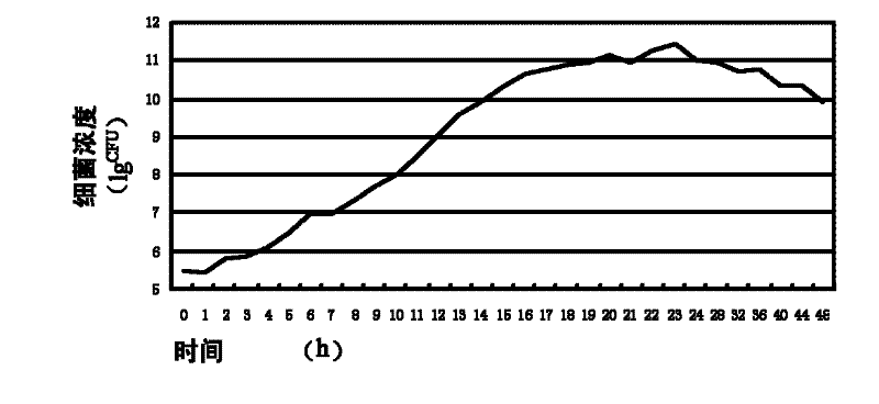 Lactobacillus fermentum and application thereof