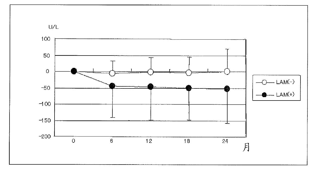 Enhancer of activity of nucleic acid analogue