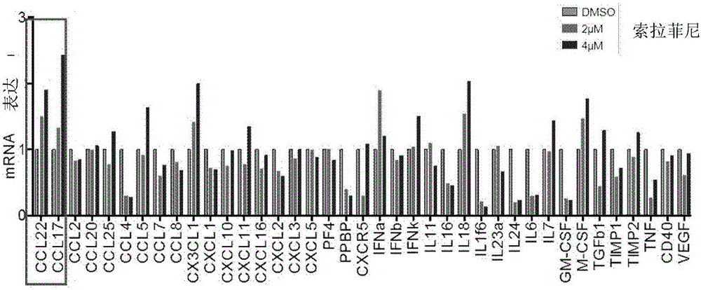 Application of sorafenib combined with CCR4 antagonist for restraining cancer growth and transfer