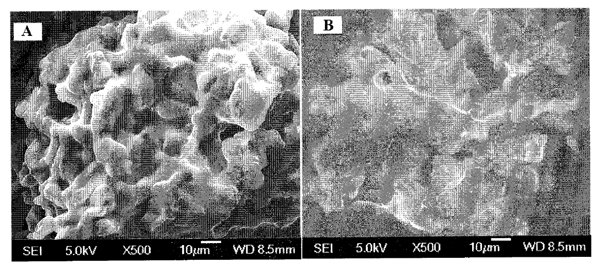 Process for quickly breaking cell walls of Chinese wolfberry seeds and extracting seed oil