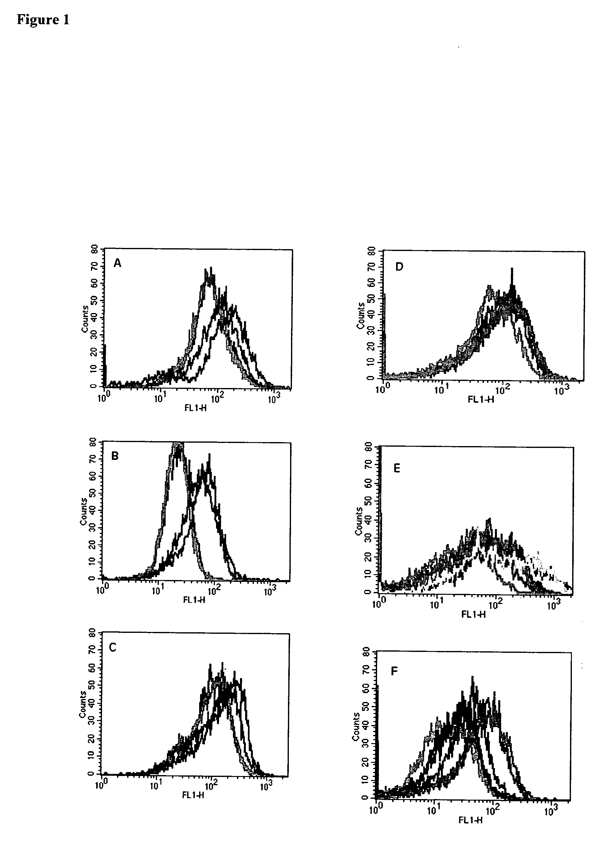 Mesothelin Vaccines and Model Systems