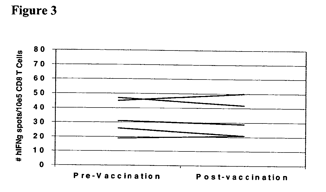 Mesothelin Vaccines and Model Systems