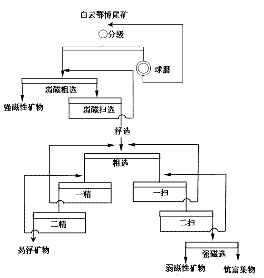 Method for separating scandium from bayan obo tailings