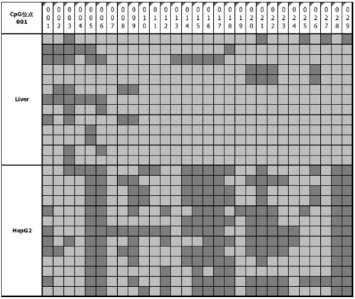 Tumor marker STAMP-EP3 based on methylated modification