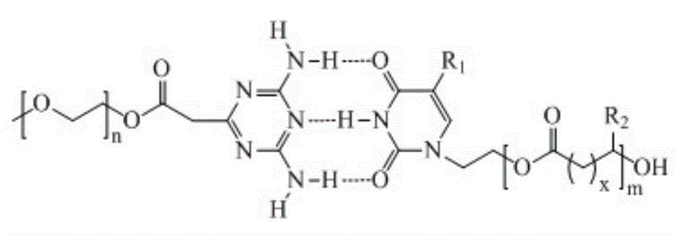 Preparation method of biodegradable supermolecule segmented copolymer and copolymer micelle