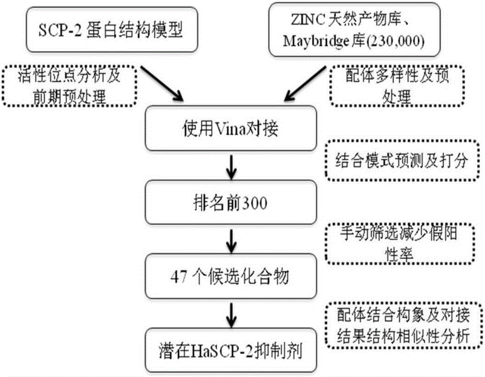 Cotton bollworm sterol carrier protein 2 inhibitor and virtual screening method thereof