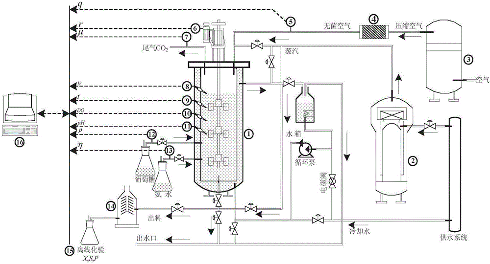 Soft measuring method and system for key variables of lysine fermentation process based on PSO-FSVM